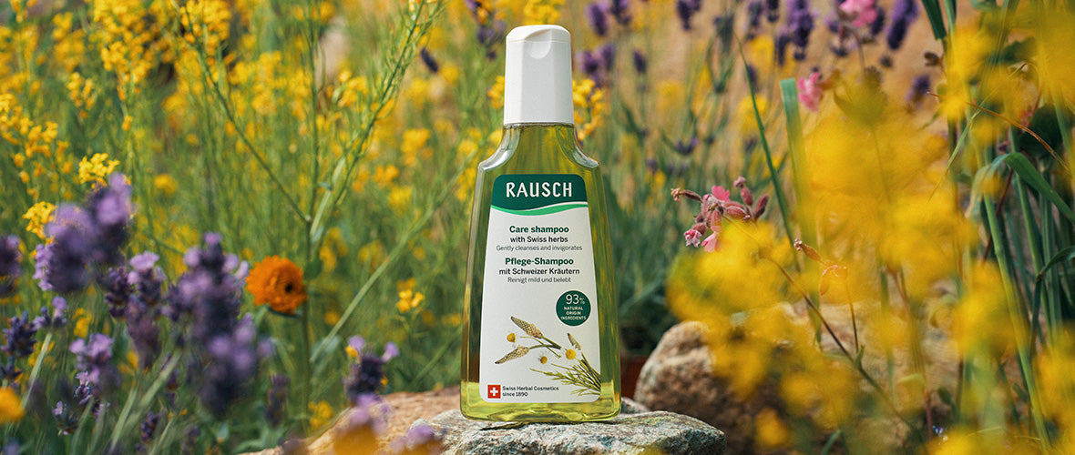 Enchanting the world with herbal power made in Switzerland
