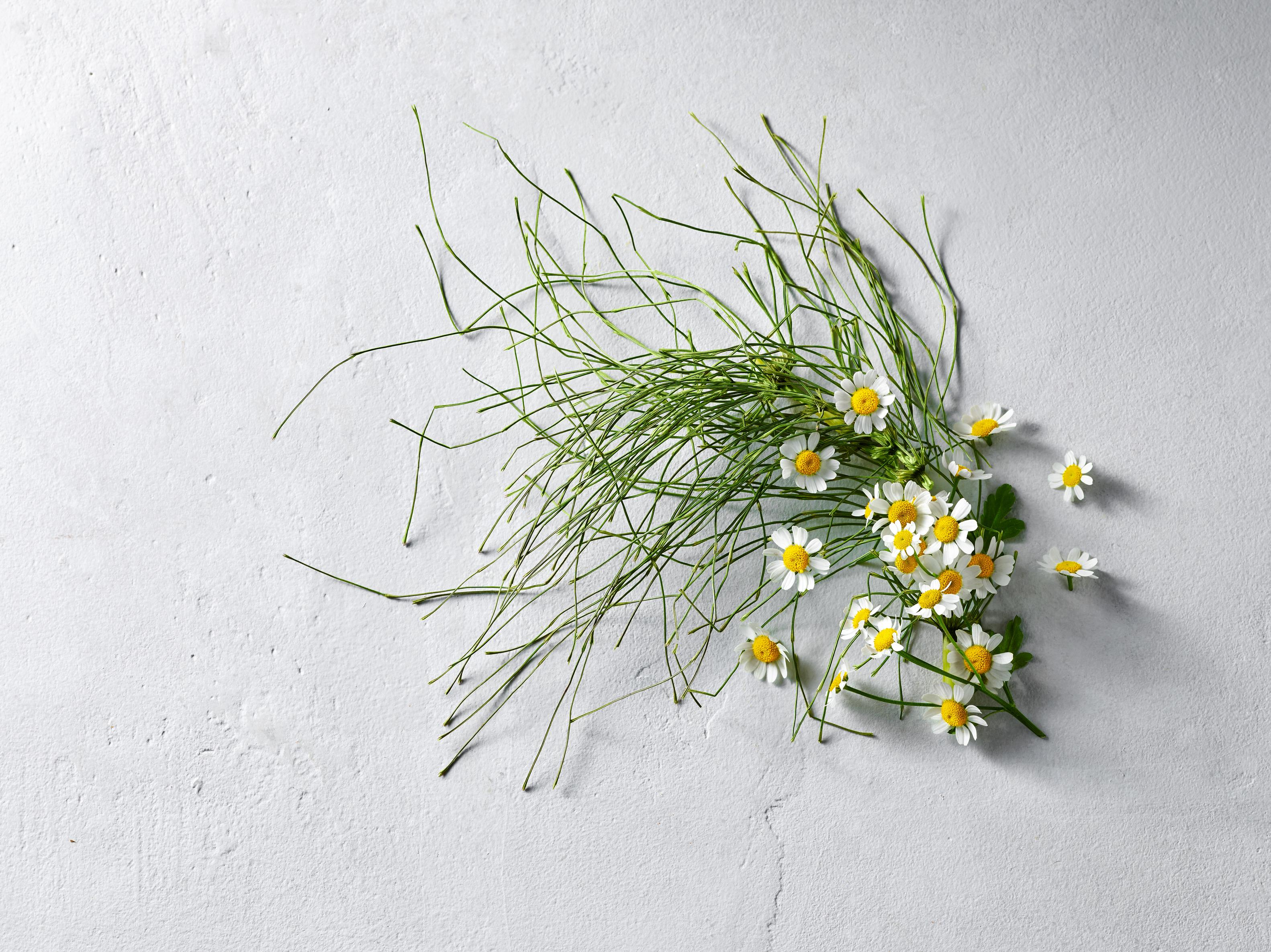 Swiss Herbs