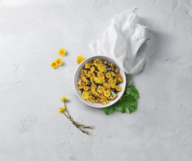 Coltsfoot Hair Care Products