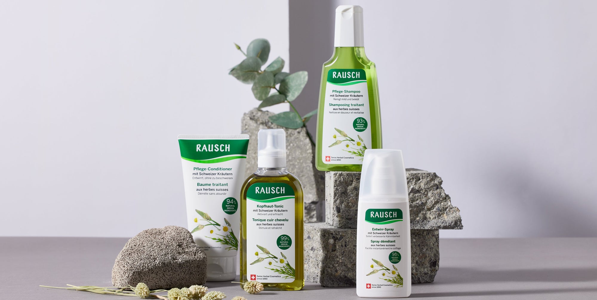 RAUSCH Original Hair Tincture to Combat Hair Loss & Stimulate Hair Growth